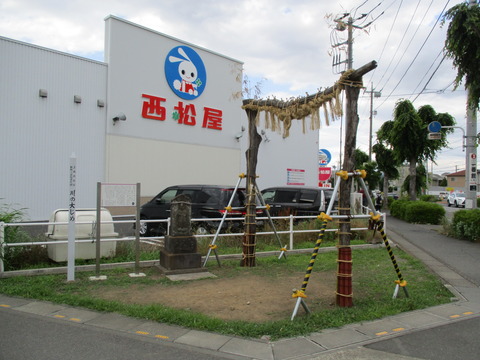 247川の大じめ1