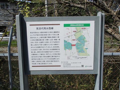 99再び見沼代用水5
