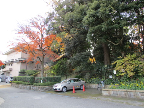 183戸定が丘歴史公園1