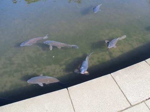 144公園内3