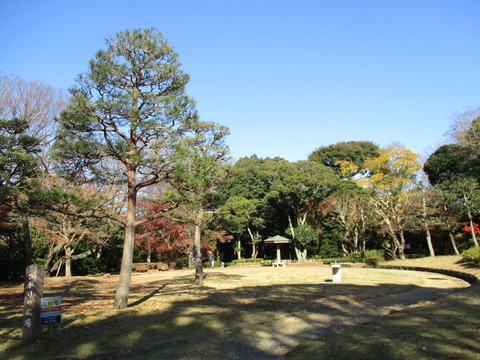 60ひかりの広場