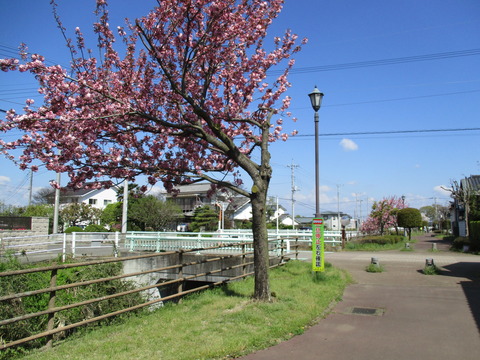 14遊歩道2