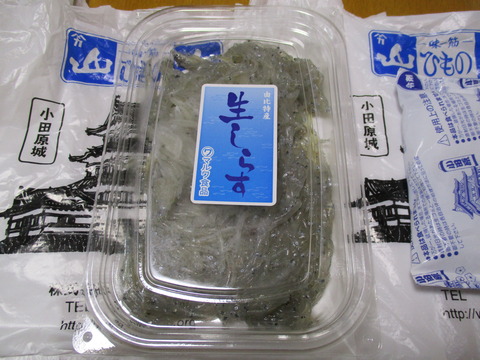 161生しらす