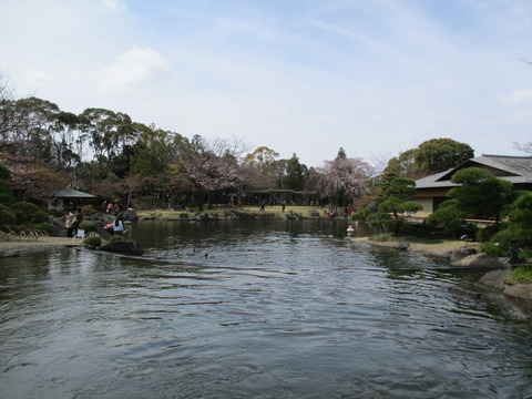 72庭園裏側