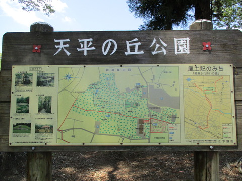 81案内板1