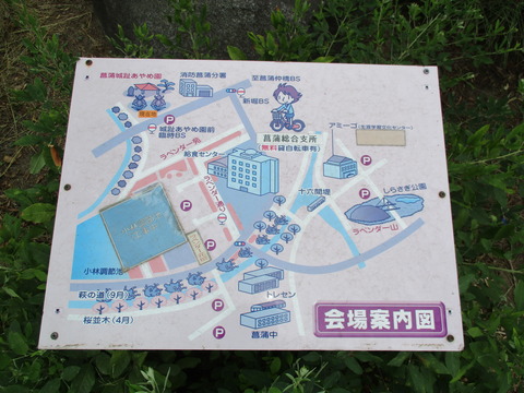104菖蒲城址あやめ園3
