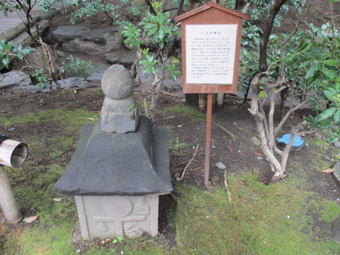 83星溪園15