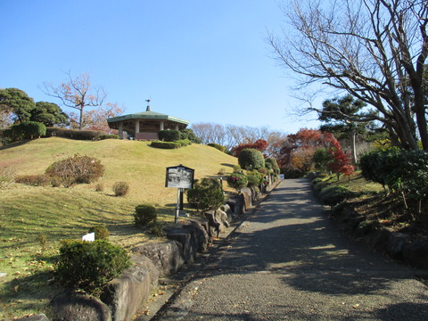 75展望台へ