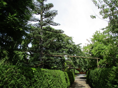 95山門をくぐって