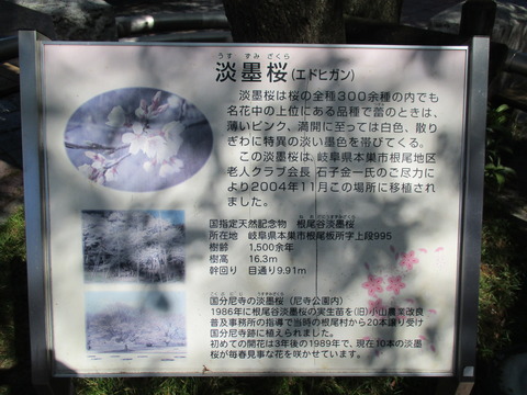 05小金井駅2