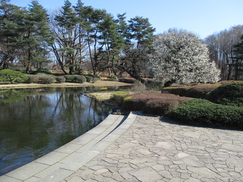 143公園内2