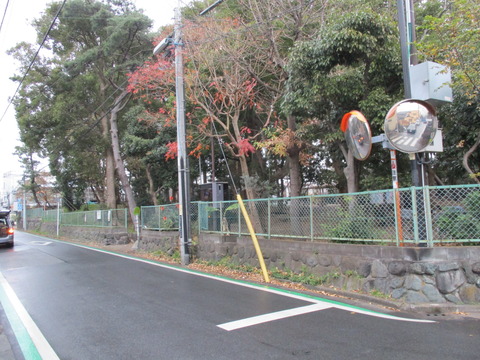 186松が丘緑地1
