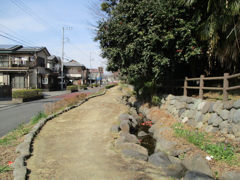 141またせせらぎ通り