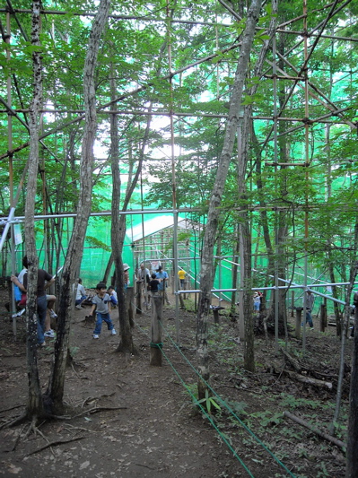 mushimushi15