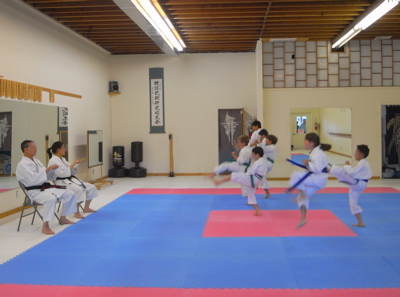 blackbelt_2