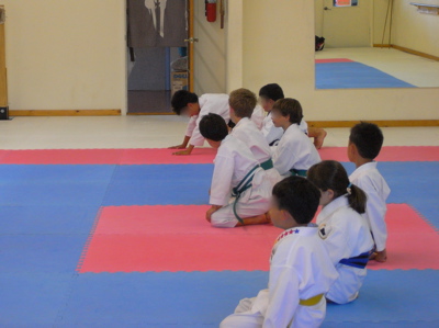 blackbelt_8