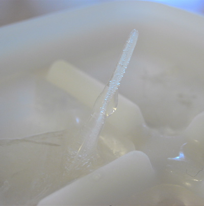 upsidedownicicle3