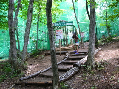 mushimushi14