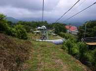 mushimushi7