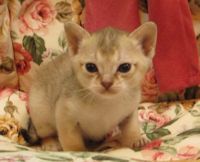 ���󥬥ס��顡�᤹���ʣ���ǯ��������ޤ��