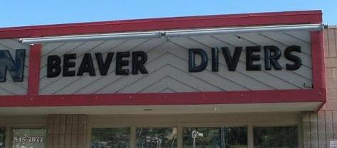 beaver-divers