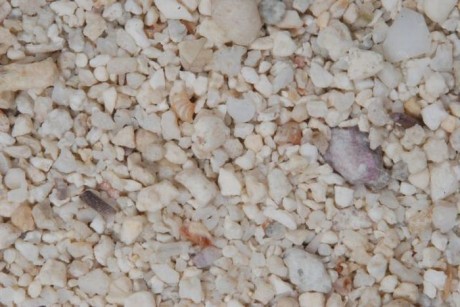 c05-460x307