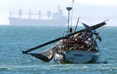Whale_Crushes_Yacht_02