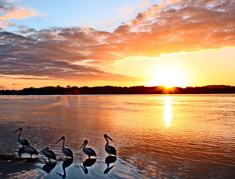 newsouthwales3