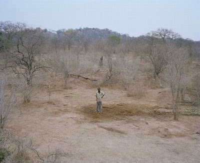 zimbabwe_elephant_09