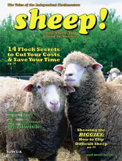 a248_sheep