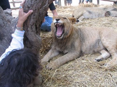 Lujan_Zoo_32