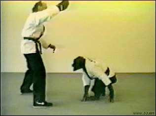 019