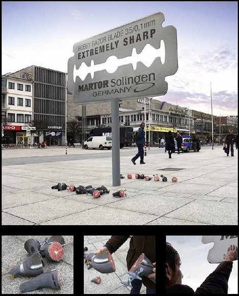 pigeons-vs-razors
