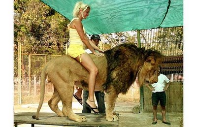 Lujan_Zoo_01