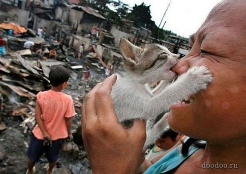 _Funny_Pictures_Moments__56_3