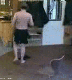 056