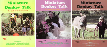 a248_donkey