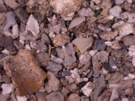 c07-460x345