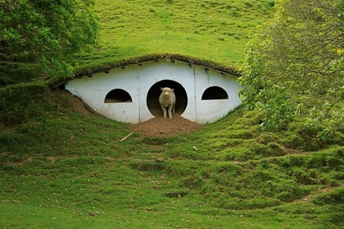 hobbiton_is_now_640_33