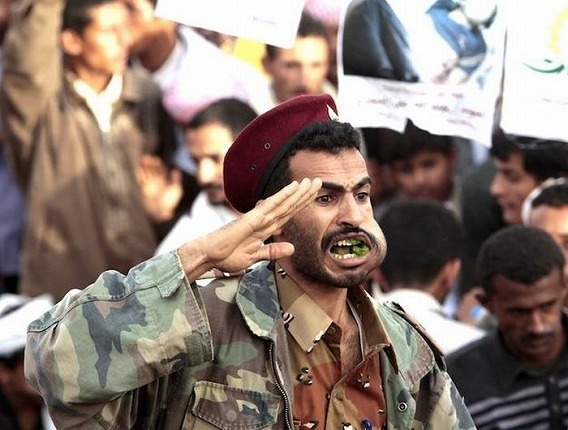 qat_yemen_15