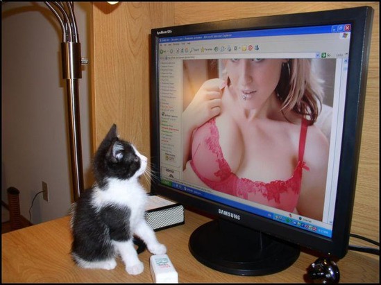 kitty_20porn