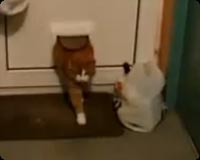 �̤�ʤ�