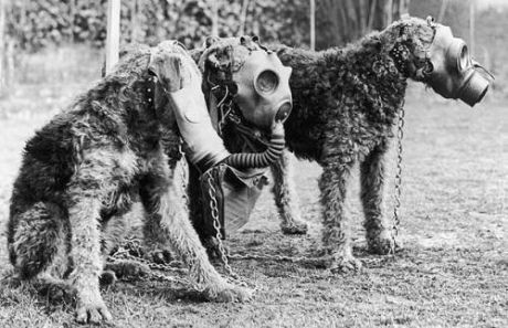 gasmasks-3_1477181i