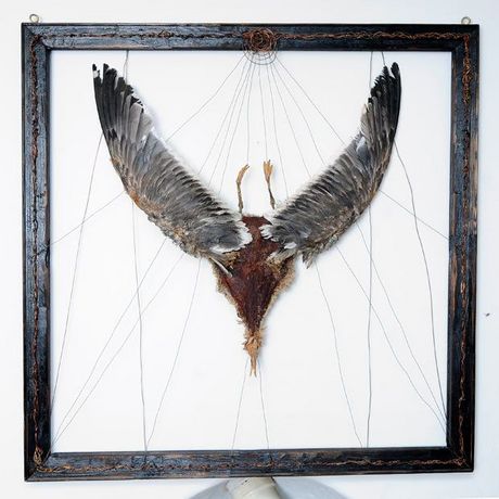 dead_art_12
