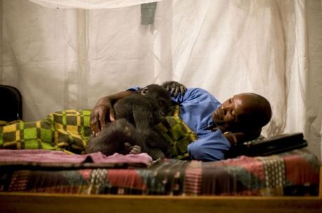 life_in_congo_57