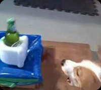 ���ʥۡ���¸�