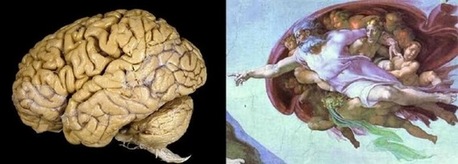 6-different-looks-at-common-things-funny