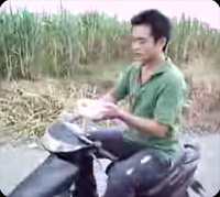 taiwan