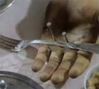 お食事
