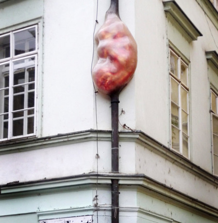 David-Cerny-embryo